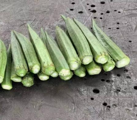 okra tips cutting machine deliver to Myanmar